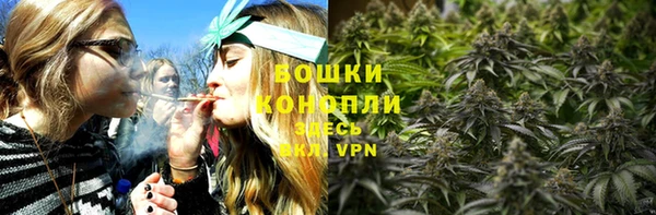 прущий лед Новозыбков