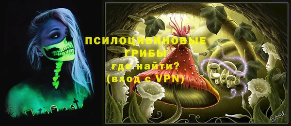 а пвп мука Няндома