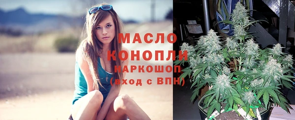 прущий лед Новозыбков