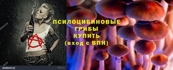а пвп мука Няндома