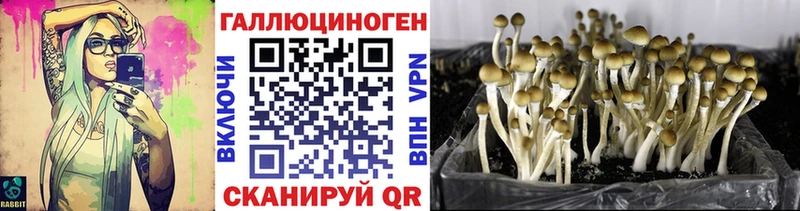 Галлюциногенные грибы Cubensis  купить наркотик  Пудож 